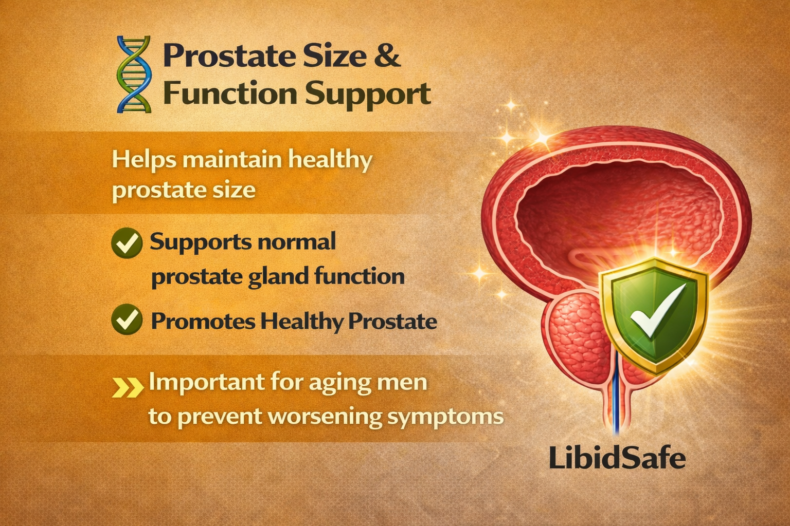 Xenoprost Active Capsule for Men – Advanced Prostate Care Ayurvedic Supplement for Enlarged Prostate & Urinary Relief | Herbal Support for BPH, Bladder Strength & Male Energy