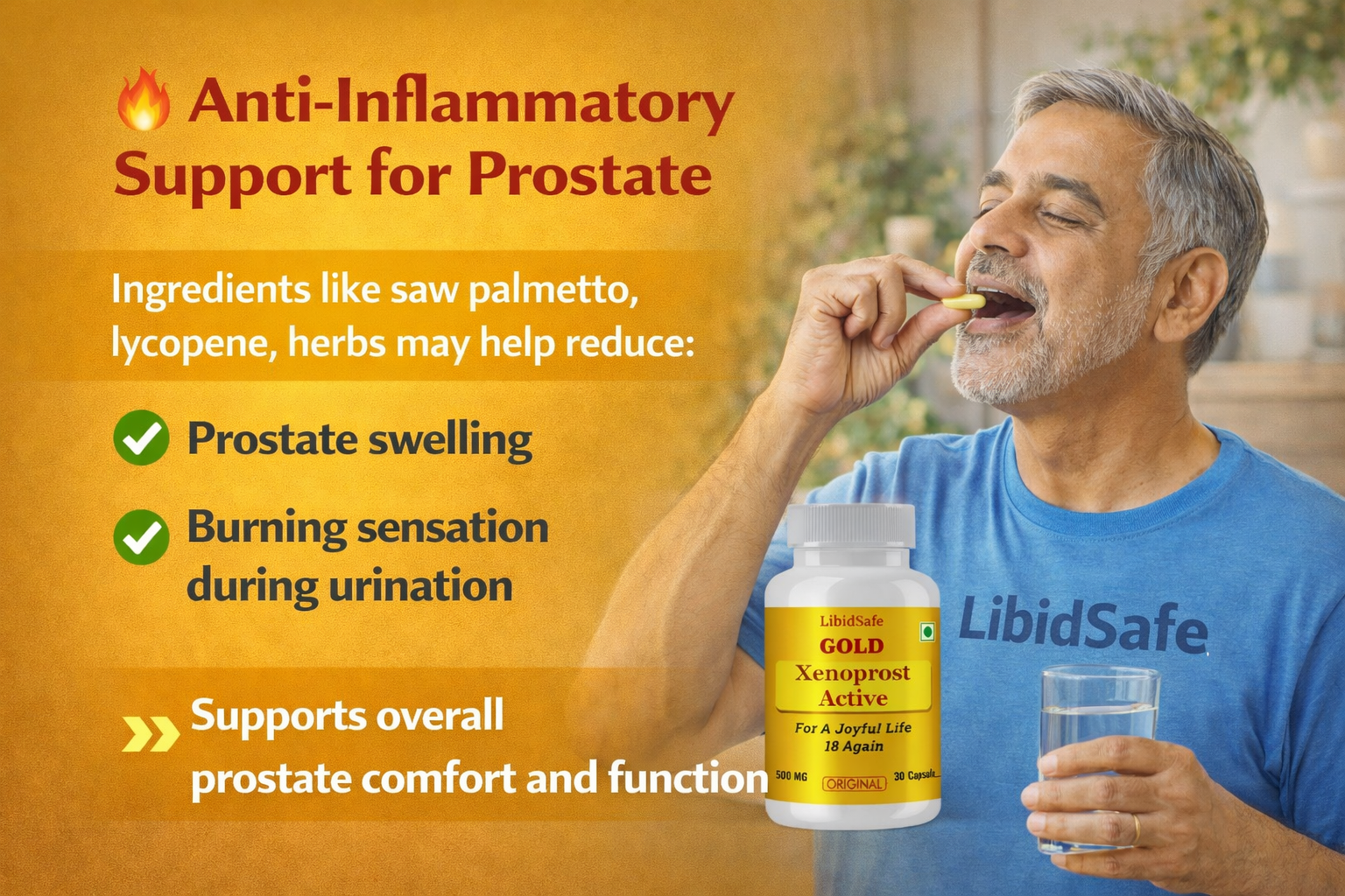 Xenoprost Active Capsule for Men – Advanced Prostate Care Ayurvedic Supplement for Enlarged Prostate & Urinary Relief | Herbal Support for BPH, Bladder Strength & Male Energy