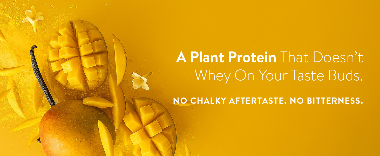 Happy Cultures 24g Tastiest Plant Protein| Real Alphonso Mango, Almond Chunks & Ashwagandha (KSM 66) |Pea & Brown Rice Protein Isolate| No Added Sugar| Vegan| 20 Complete Amino Acids | Monk Fruit Extract| Women & Men| No Bloating, Easy to Digest| Dairy Free with Probiotics - 505g