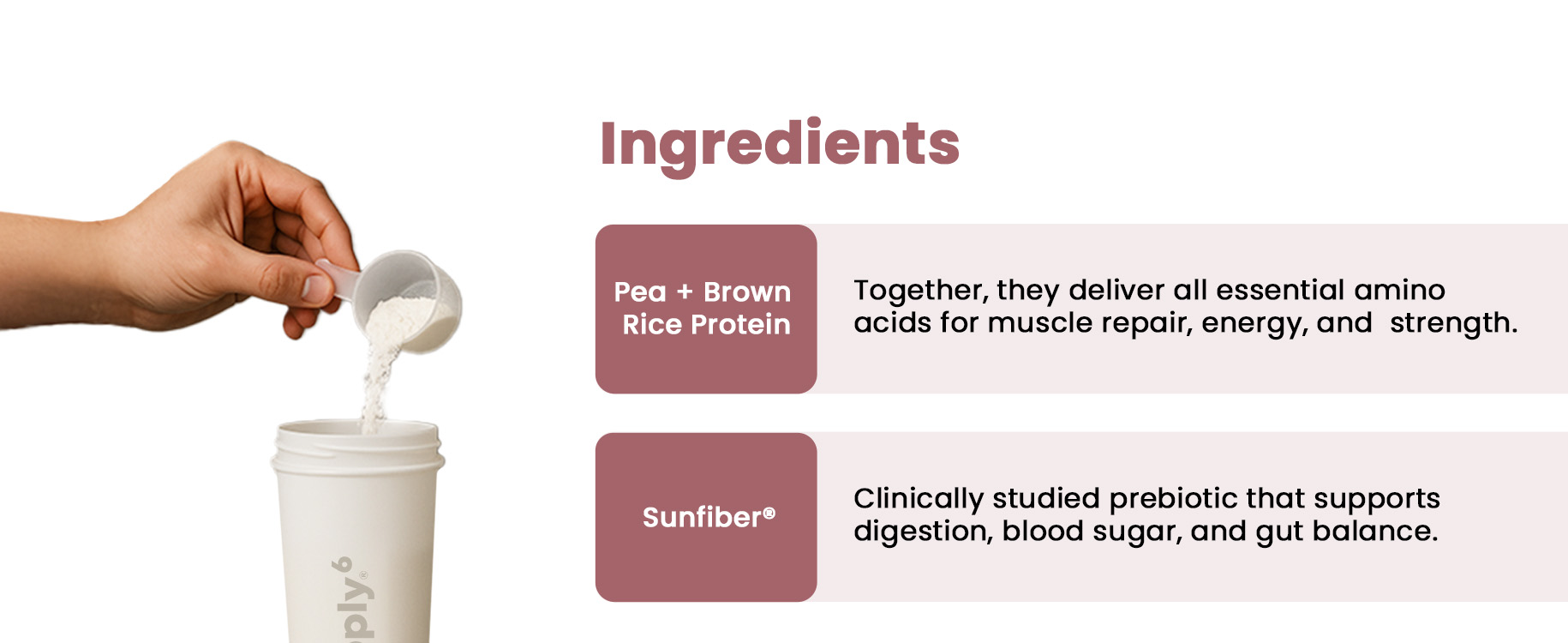 Supply6 Plant Protein | 24g Vegan Protein with Probiotics & Fibre | Complete Amino Acids | Gut-Friendly, Zero Sugar, No Chalkiness | Delicious Taste (1000g, Chocolate)
