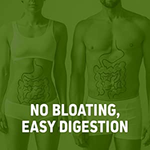 HealthOxide Brown Rice Protein Isolate 80% | Unflavoured Vegan Plant Protein Powder | Gluten-Free, Dairy-Free & Soy-Free | Lab Tested | Supports Muscle Growth, Recovery & Daily Nutrition | 250g