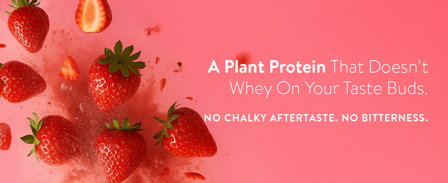 Happy Cultures 24g Tastiest Plant Protein| Mahabaleshwar Strawberry & Almond Chunks| No Added Sugar| Pea & Brown Rice Protein Isolate| Vegan| 20 Complete Amino Acids| Monk Fruit Extract| Women & Men| No Bloating, Easy to Digest| Dairy Free with Probiotics - 505g