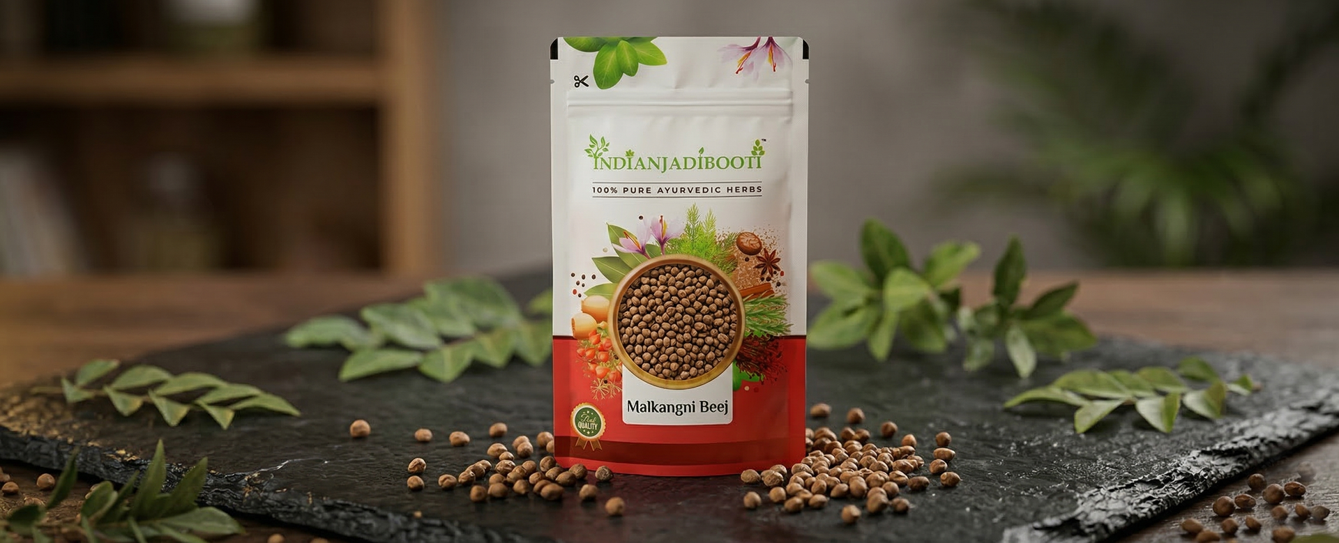 IndianJadiBooti Malkangni Beej - Jyotishmati Seeds - Celastrus paniculatus | Malkangani Seed | Stress Relief Good for Appetite (100 Grams pack)