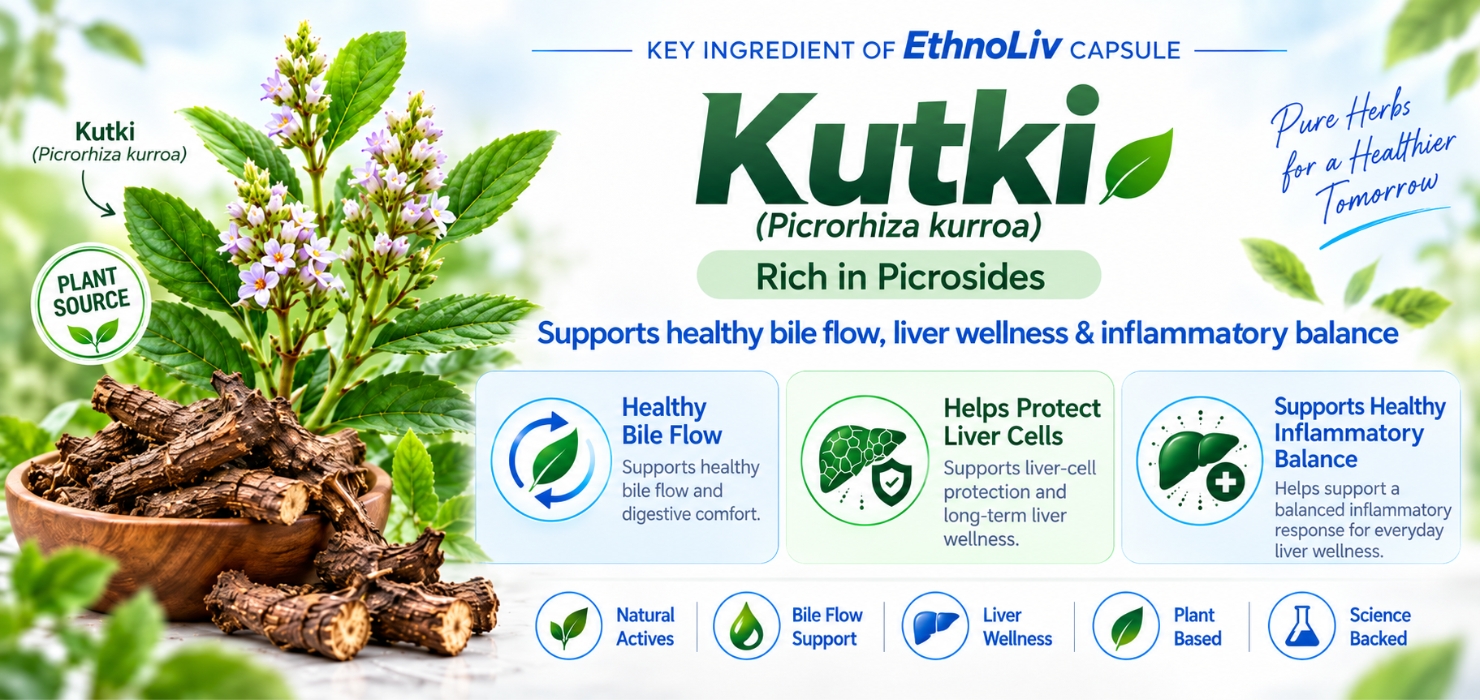 EthnoLiv – Ayurvedic Liver Detox & Metabolism Support Capsules | Fatty Liver Support, Detox & Cleanse | Improves Health, Digestion & Metabolism | Herbal Supplement with Ayurvedic Herbs | 120 Capsules, Pack of 4