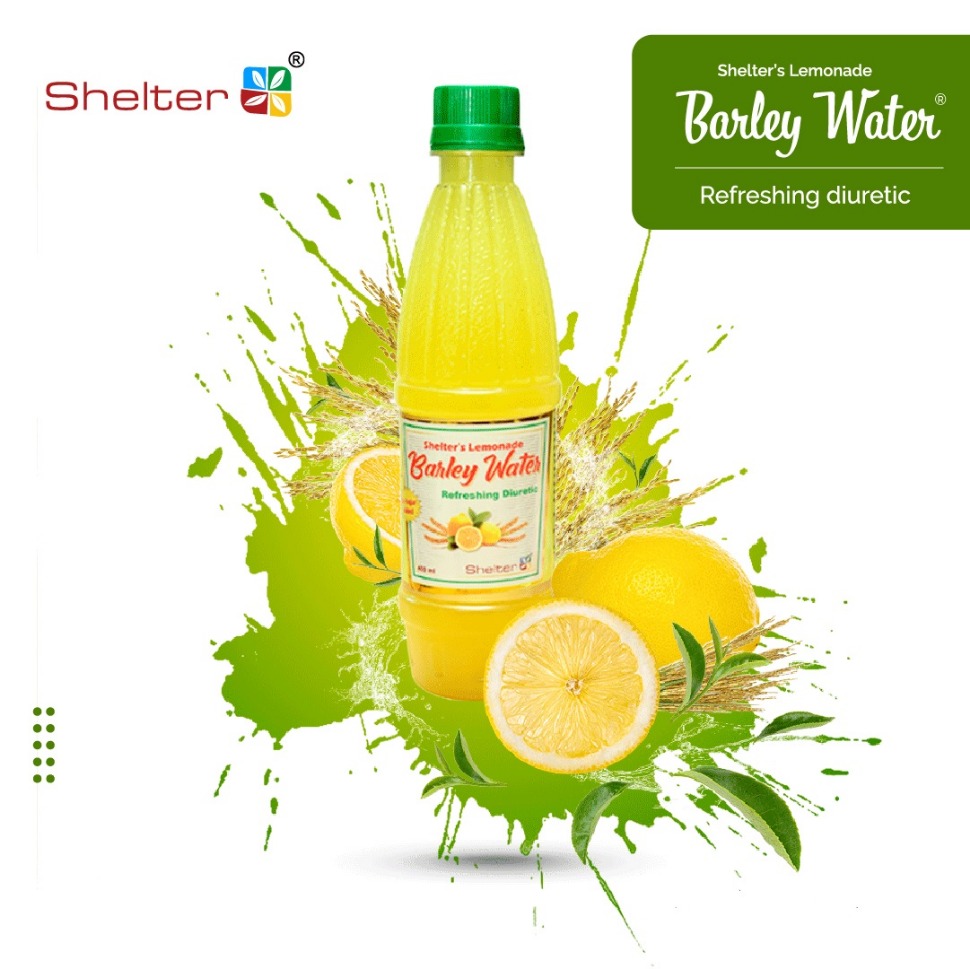 Lemonade Barley Water Ayurvedic Drink for Kidney & Urinary Stone Care | Helps Dissolve & Clean Kidney Stone (PACK OF 2)