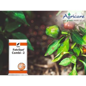 Compo Expert Fetrilon Combi 2 Fully Chelated Cu, Fe, Mn, Zn Multi Micronutrient Mixture, 100g