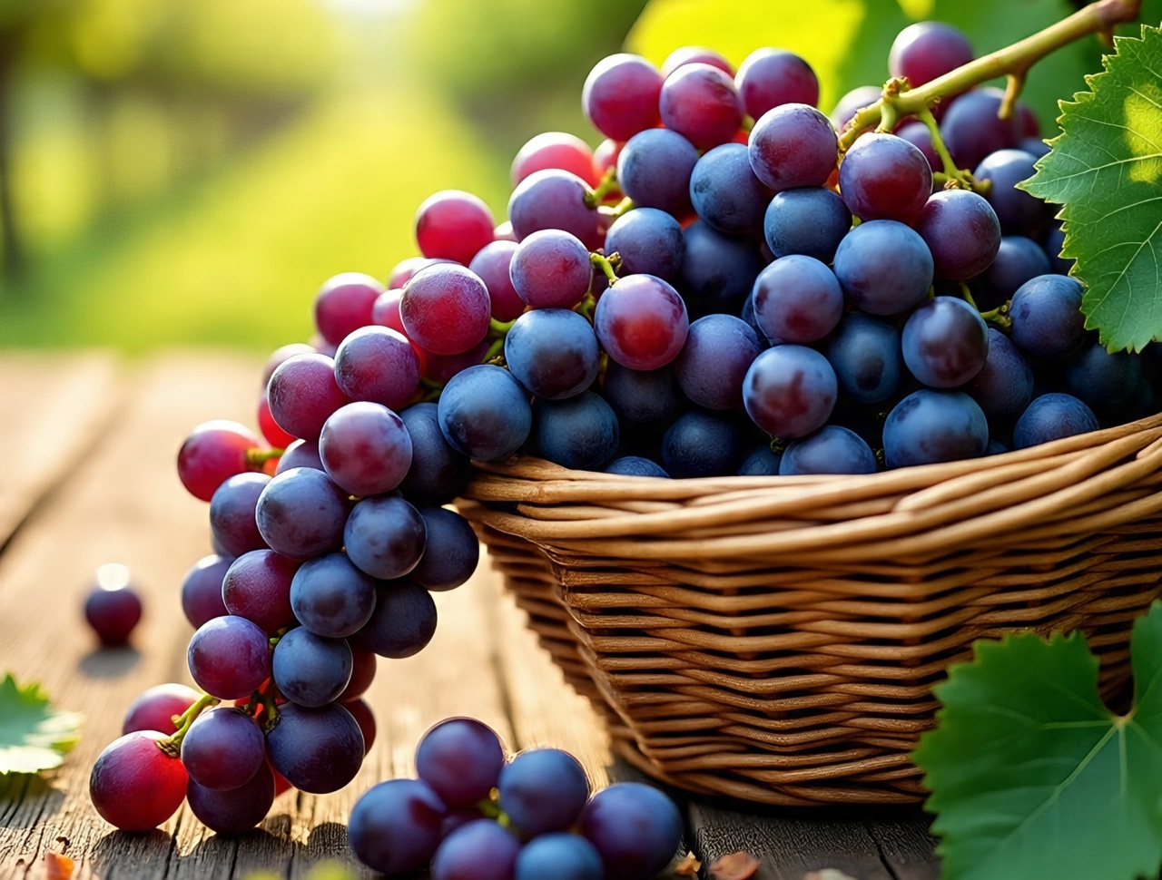Sylara Trans Resveratrol - 99.9% - 1200 mg with Grapeseed Extract and Quercetin Tablets/Capsules Supplement Powder