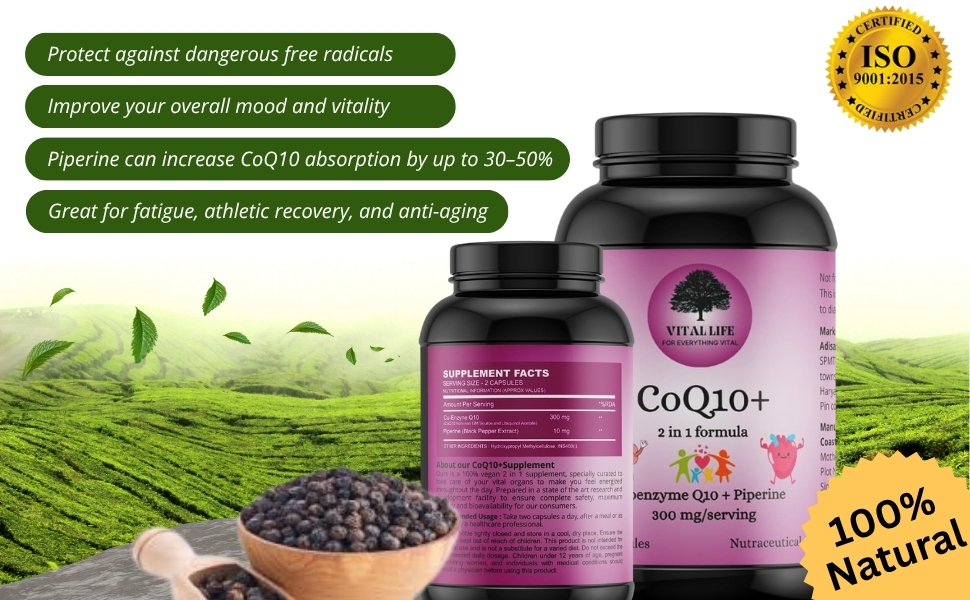 VITAL LIFE CoQ10 Supplement 300 mg with Piperine 10 mg, 60 Count