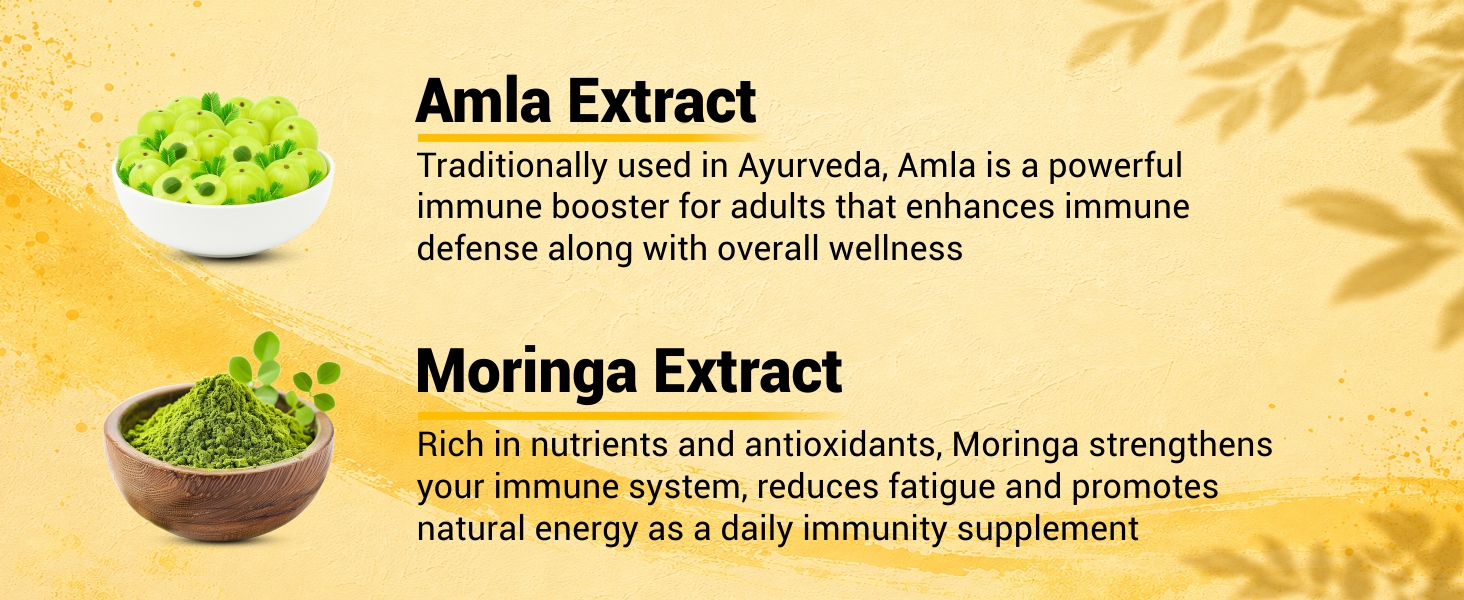 NutraStore Immunity Booster Men & Women | 6 Veg Capsules (Pack of 2) | Vegetarian Immunity Support Capsules | Curcumin, Giloy, Amla, Moringa, Ginger, Orange & Piperine | Natural Defense Support
