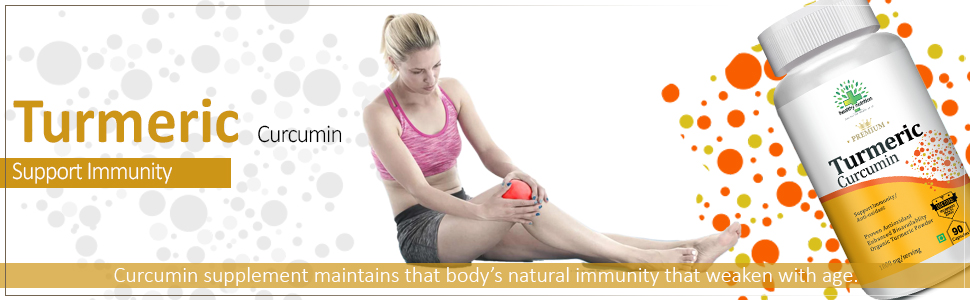 Healthy Nutrition - Just for the Health of it Turmeric Curcumin With Piper Nigrum Extract For Immunity Joints Pain Veg Supplements- (90 Capsules)