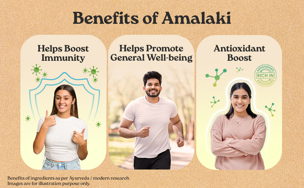 A TATA Product - Organic India Amalaki - 60 Veg Capsules, Natural Vitamin C & Antioxidants, Boosts Immune Response, Detoxify & Rejuvenate Digestive System, Reduce Acidity, GMP & NPOP Certified Organic