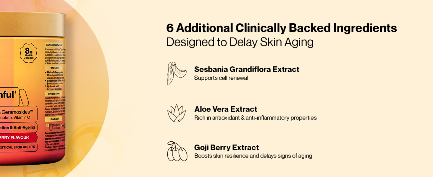 Setu Skin: Youthful | Upgraded 8g Marine Collagen + Ceramosides™ | 4X Faster Hydration | Reduces Fine Lines & Wrinkles | Monk Fruit Sweetened (250gm, Strawberry)
