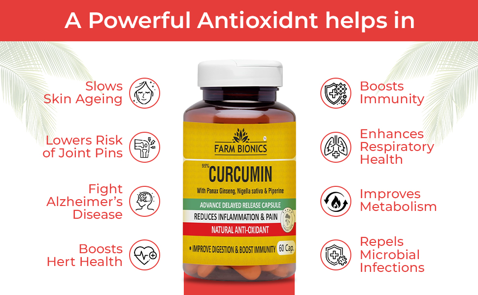 Curcumin Tablets with Piperine, 95% Curcumin, Ginger Root | Pure and Herbal Plant Based Turmeric Supplement for Inflammation, Joint Pain & Immunity Supplement for Adults - 60 Capsules