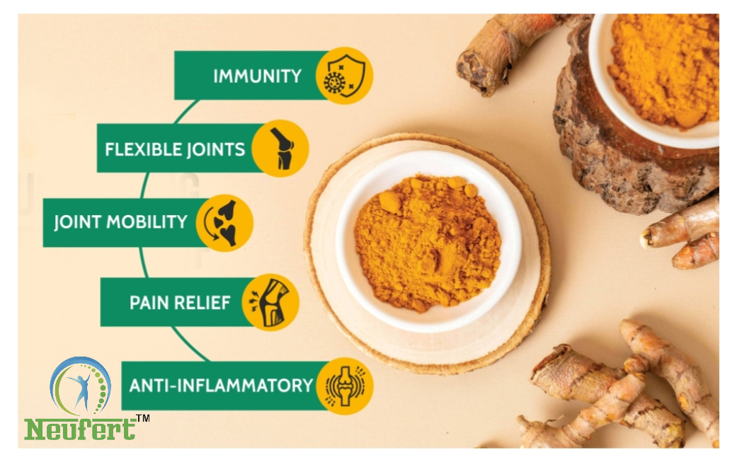 CURCUMINOID (Purified Turmeric Root Extract 500mg) curcumin Capsules (pack of 2)