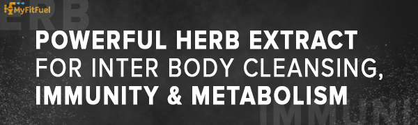 MyFitFuel Wheat Grass Extract (10:1, 500mg)- 90 Capsules