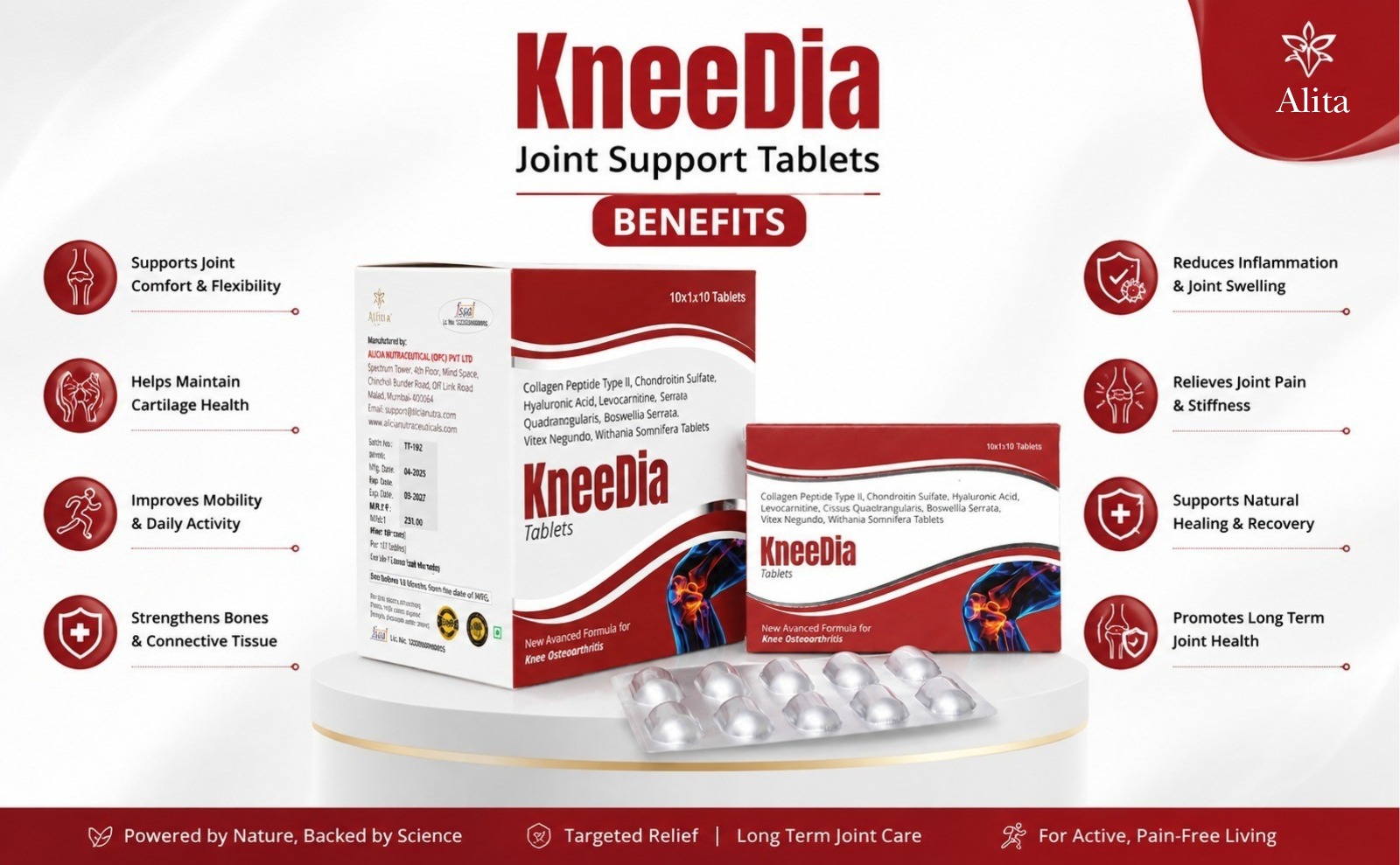 KNEEDIA Joint Support Tablets | Boswellia Glucosamine MSM Collagen Supplement, 10 Tablets