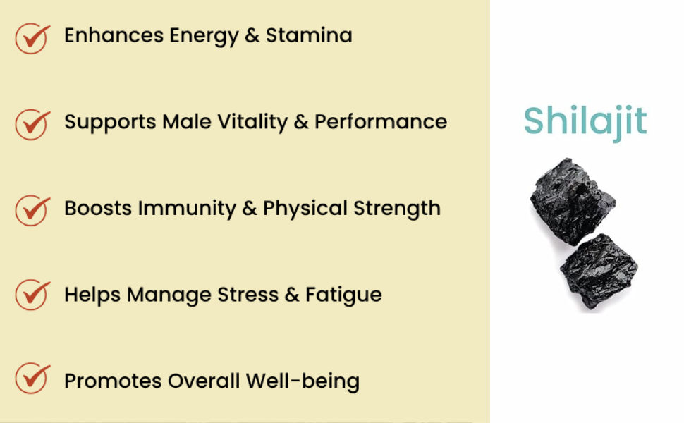 Shilajit 240mg Capsules, Natural, 120 Count