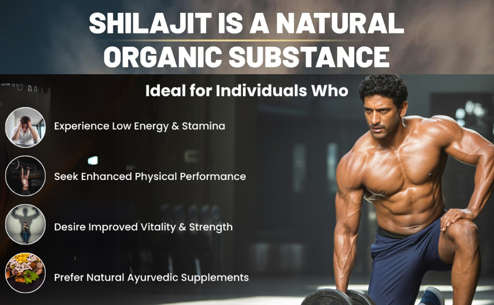 Shilajit 240mg Capsules, Natural, 120 Count