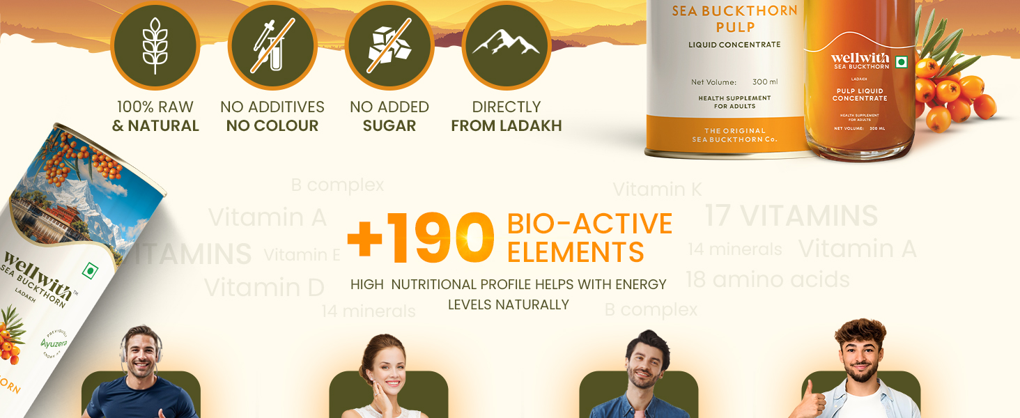 Wellwith by Ayuzera Himalayan Sea Buckthorn Berry Pulp 300ml | Plant Based Vegan Omega 3, 6, 7 & 9 | No Fish Oil | Natural & Organic | Upto 50 Glass Juice | Antioxidants & Vitamins (300ml, Pack Of 3)