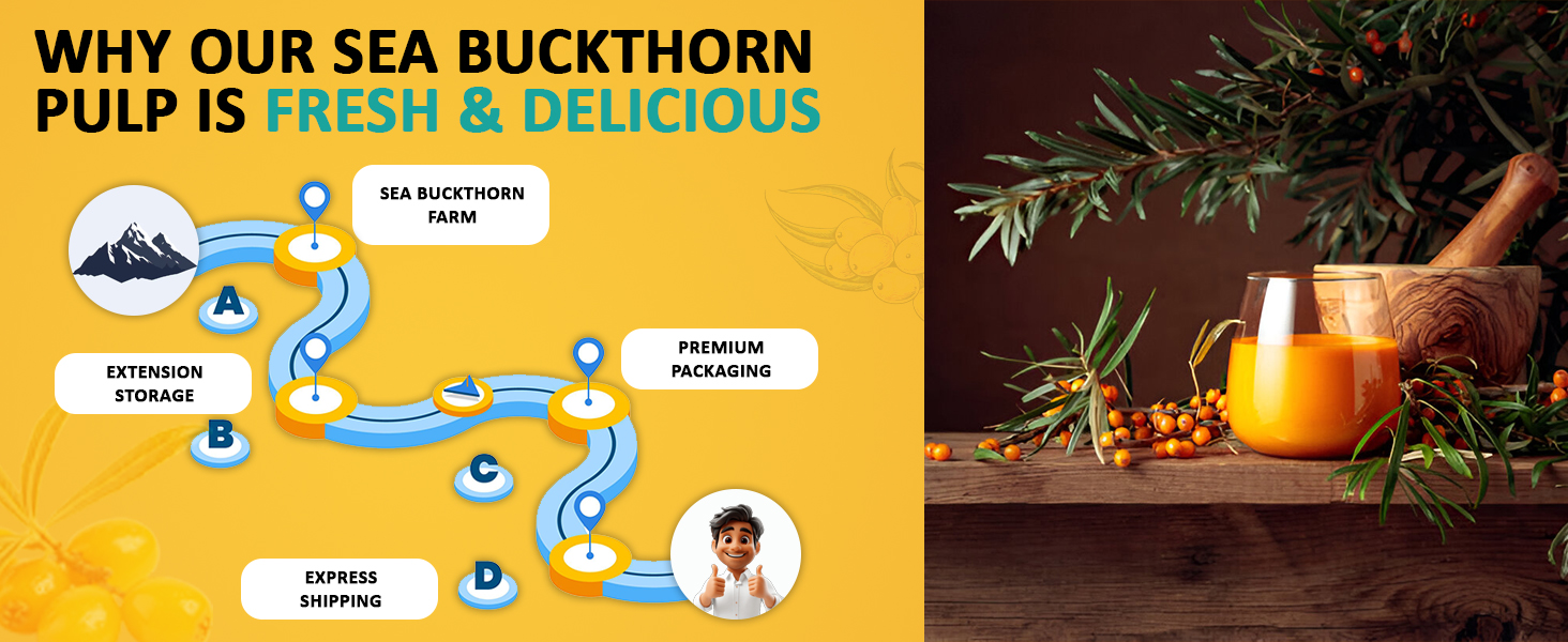 Baton Tea Himalayan Sea Buckthorn Pulp Juice 300ml | Cold-Pressed | Natural Vitamin C, Omega 3 6 7 9, Antioxidants | Immunity, Skin Glow & Gut Health Support | No Added Sugar | Lab Tested |Pack Of 1