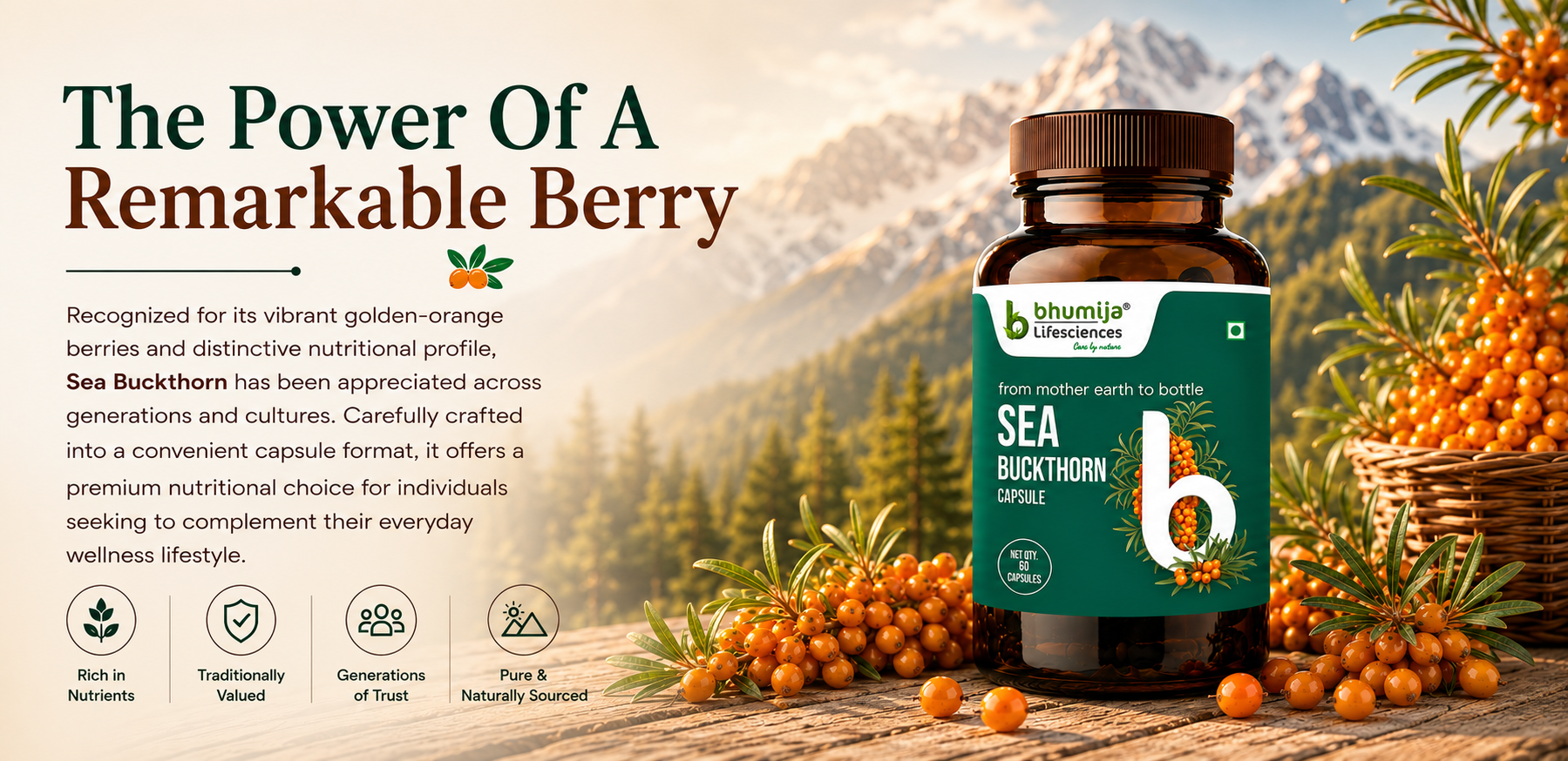 Bhumija Lifesciences Sea Buckthorn Capsules 500mg | 60 Veg Caps
