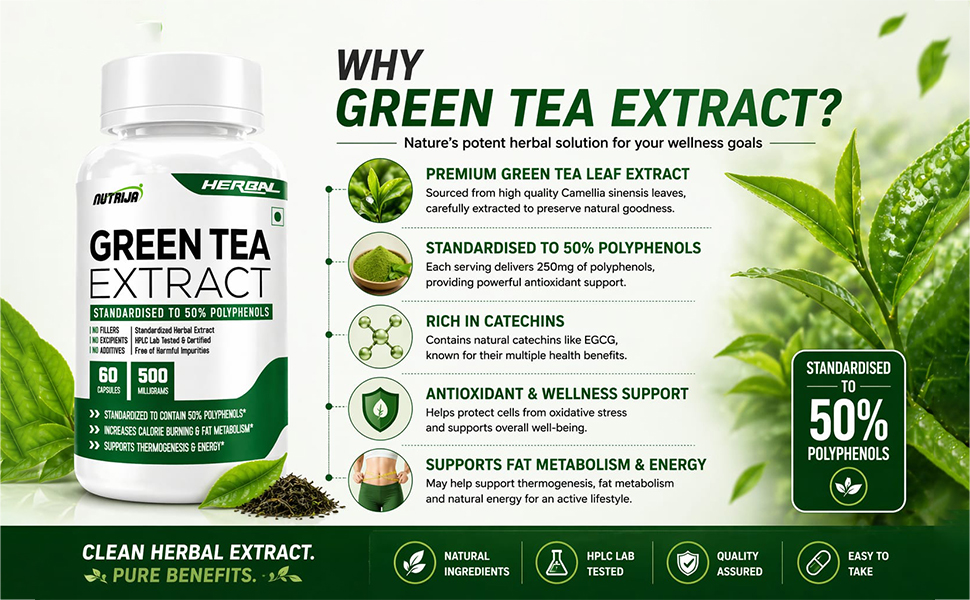 NutriJa Green Tea Extract 500mg | Standardized to 50% Polyphenols | 60 Capsules | Herbal Daily Wellness Supplement