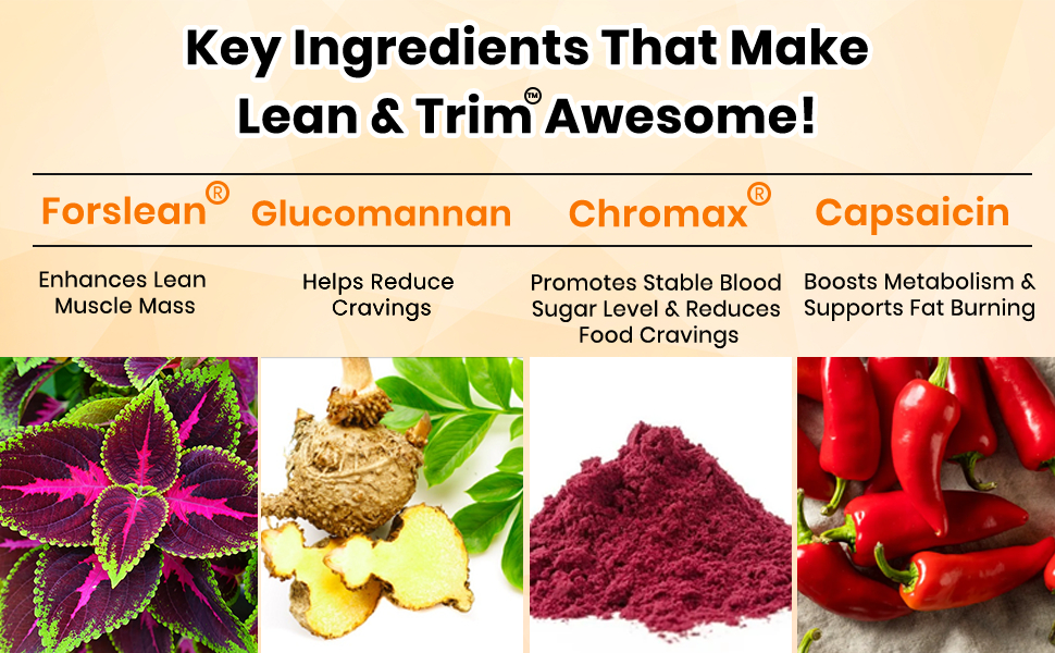 HealthAid® Lean & Trim™ ThiSolves™ Supplement for Men & Women | Supports Metabolism & Active Lifestyle | Sugar Free | Mixed Berry Flavor | 30 Oral Strips