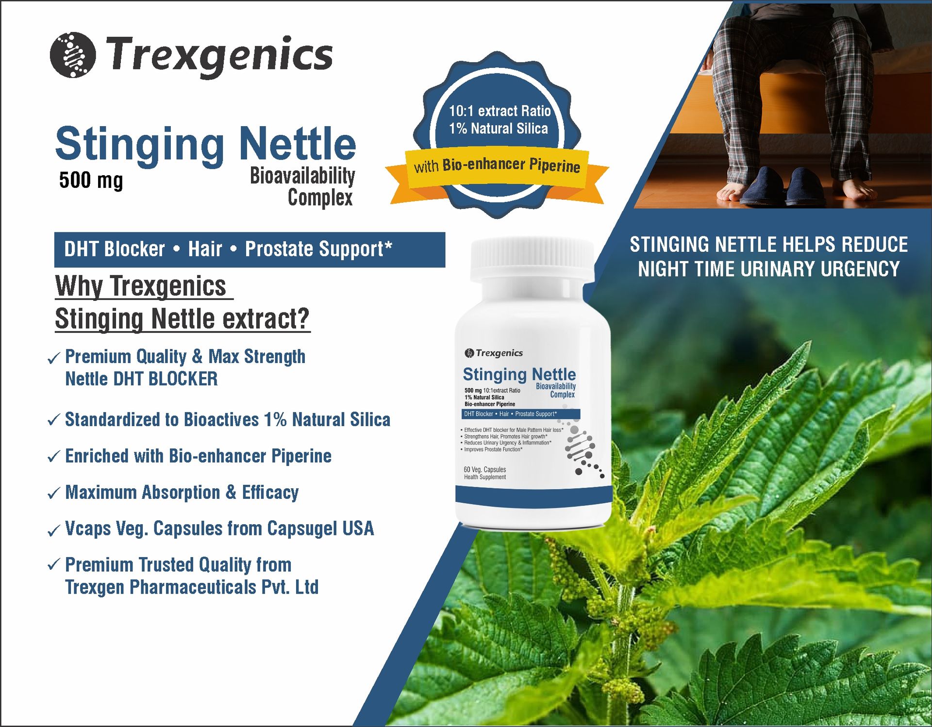 Trexgenics STINGING NETTLE (1% Natural Silica) 500mg with with Bio-enhancer Piperine 5mg DHT Blocker, Hair growth, Prostate Support (60 Veg capsules)