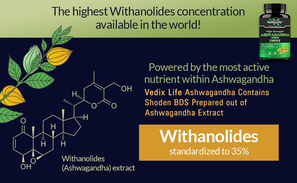 Ashwagandha Root Extract (Shoden®) – Clinically Proven 35% Withanolide Glycosides, Natural Stress Relief, Brain Support, Memory Booster, Focus & Mind Clarity Supplement | 60 Capsules