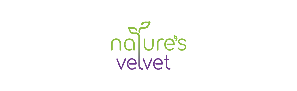 Natures Velvet Lifecare Boswellia Serrata Pure Extract 500 mg, 60 Veggie Capsules - Pack of 1