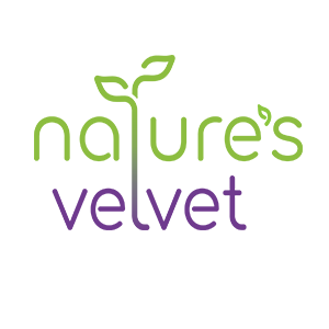 Natures Velvet Lifecare Boswellia Serrata Pure Extract 500 mg, 60 Veggie Capsules - Pack of 1