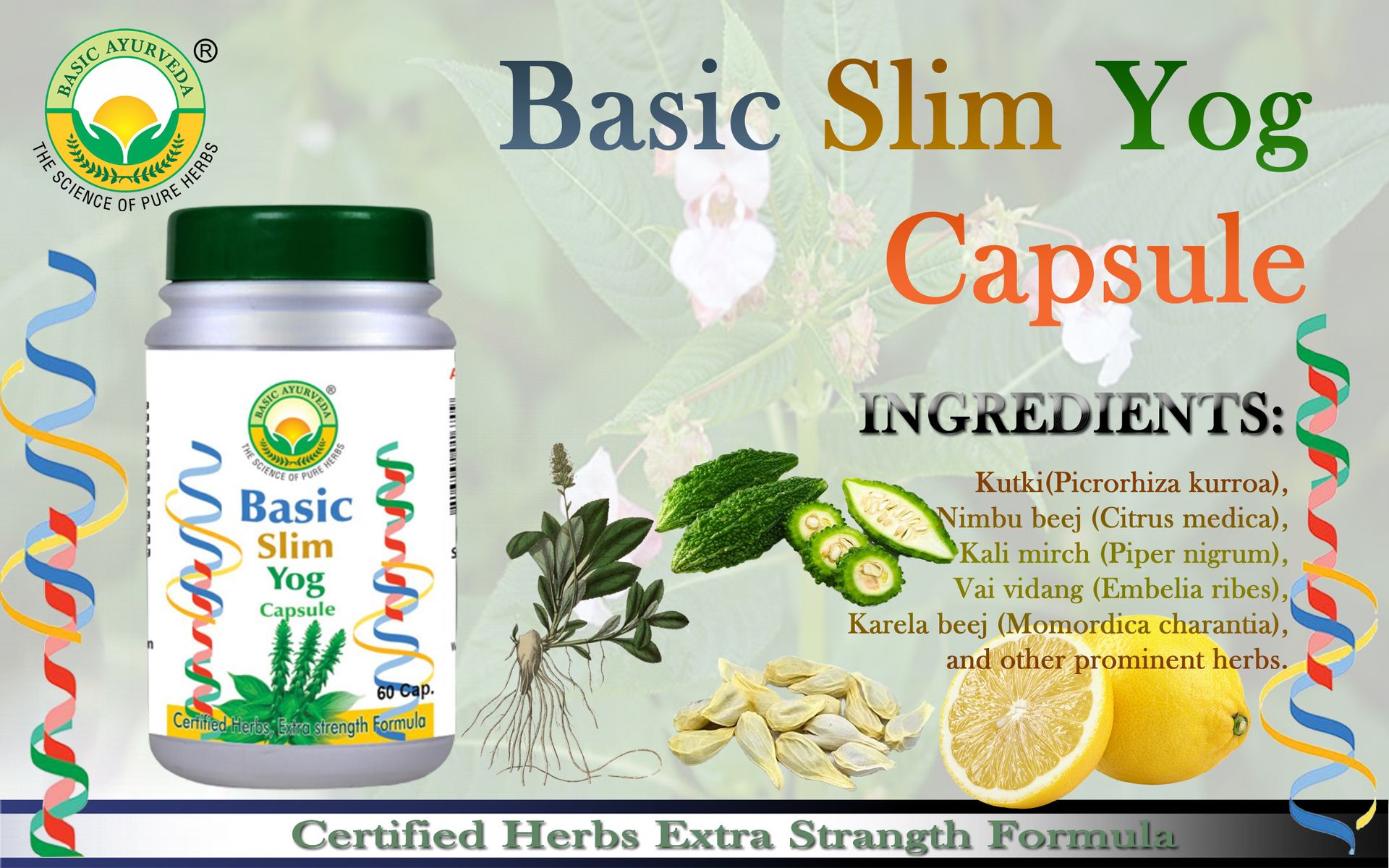 Basic Ayurveda Slim Yog 60 Capsules | Ayurvedic Herbal Supplement for Weight Management Support & Daily Wellness Formula