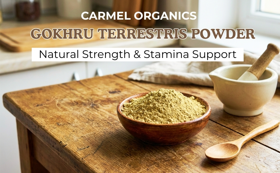 CARMEL ORGANICS Gokhru/Gokshura/Tribulus Terrestris Powder 100 Gram
