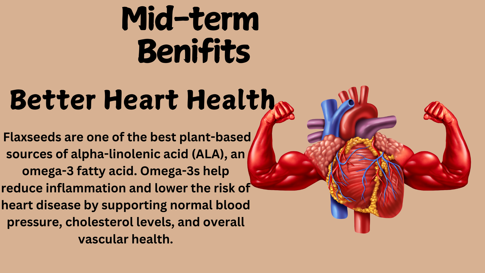 Vegan Omega-3 (Pack Of 2) Natural Nutrition Supplements for Muscle, Bone, Heart & Skin 100 Capsules