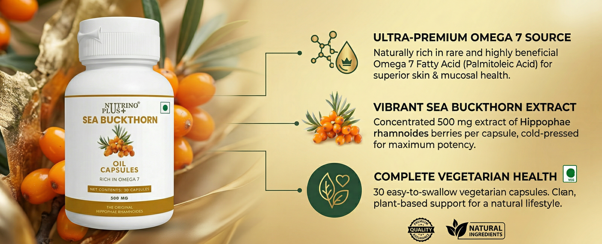 Sea Buckthorn Oil Capsules 500mg | Prostate Health & Urinary Support for Men | Omega 3 6 7 9 | Hippophae Rhamnoides Extract | Anti-Inflammatory Supplement | 30 Softgels
