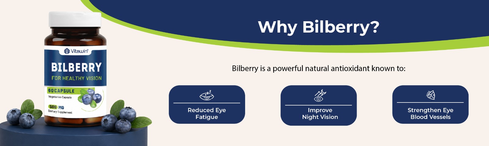 Bilberry Extract 500mg for Eye Health & Vision Support | Rich in Natural Antioxidants | Supports Healthy Eyes, Retinal Wellness & Daily Screen Exposure | 60 Veg Capsules