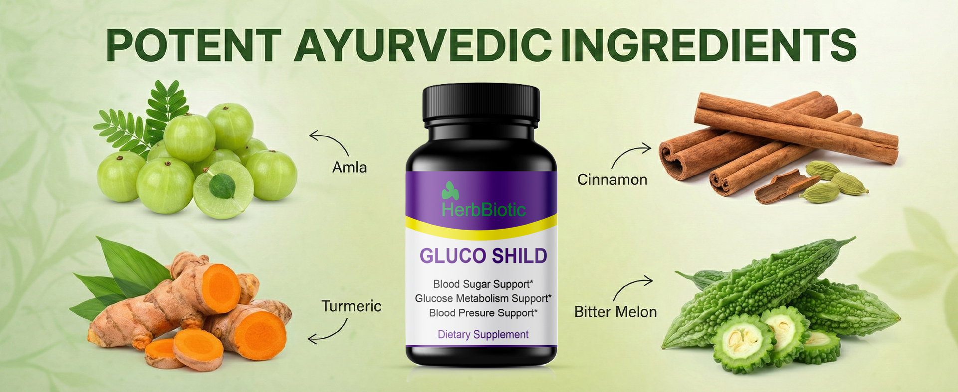 Gluco Shild Sugar Balance Capsules | Herbal Diabetes Support Supplement for Glucose Metabolism & Insulin Health | With Gudmar, Karela, Haridra, Amla, Neem – 60 Capsules | gluco shield herb biotic