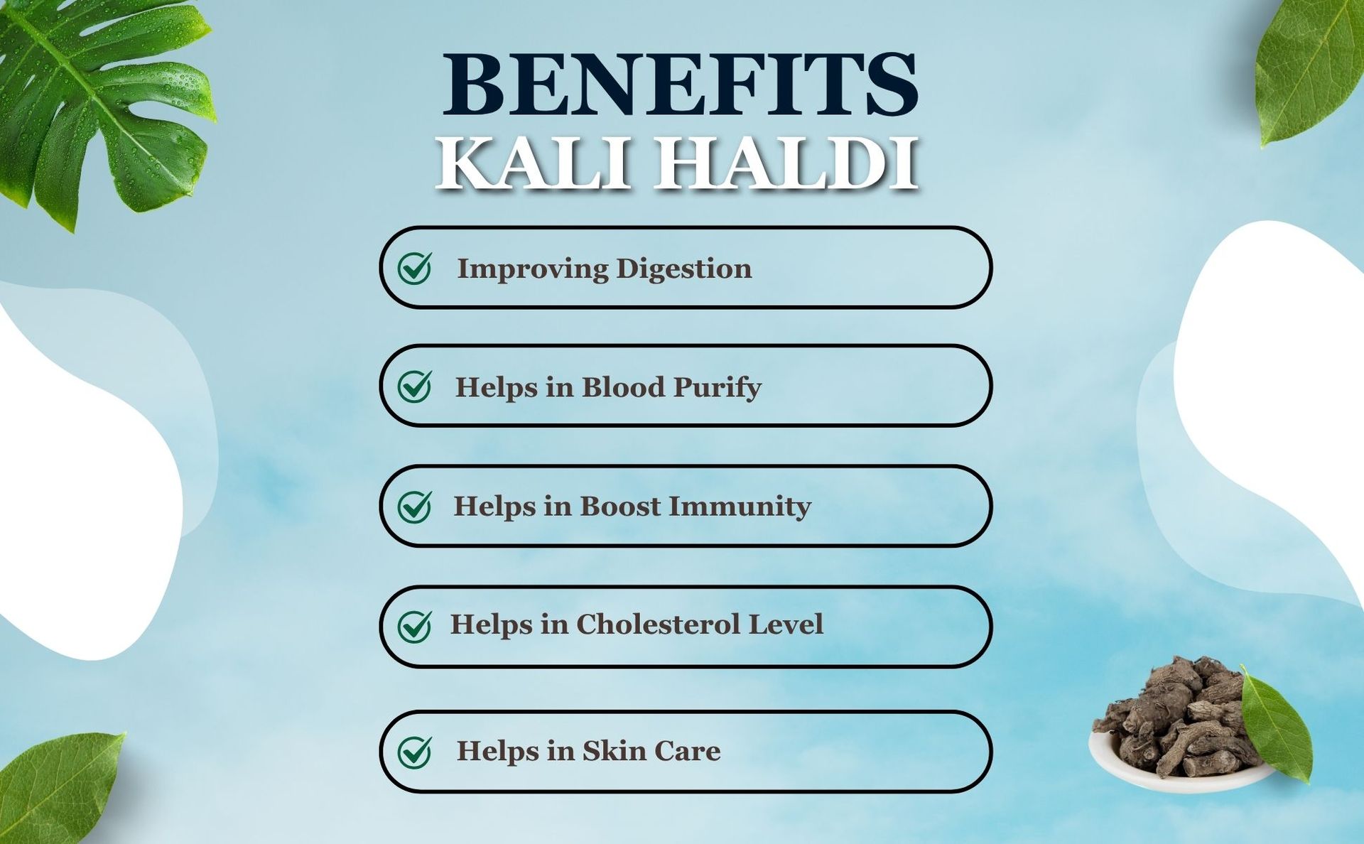 Brijbooti Kali Haldi 100gm | Black Turmeric - Narkachur - Nar Kachur - Narkchaur - Curcuma Zerumbet - Zedoary Root