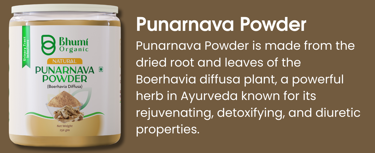 Ayurveda Punarnava Powder 340 gm