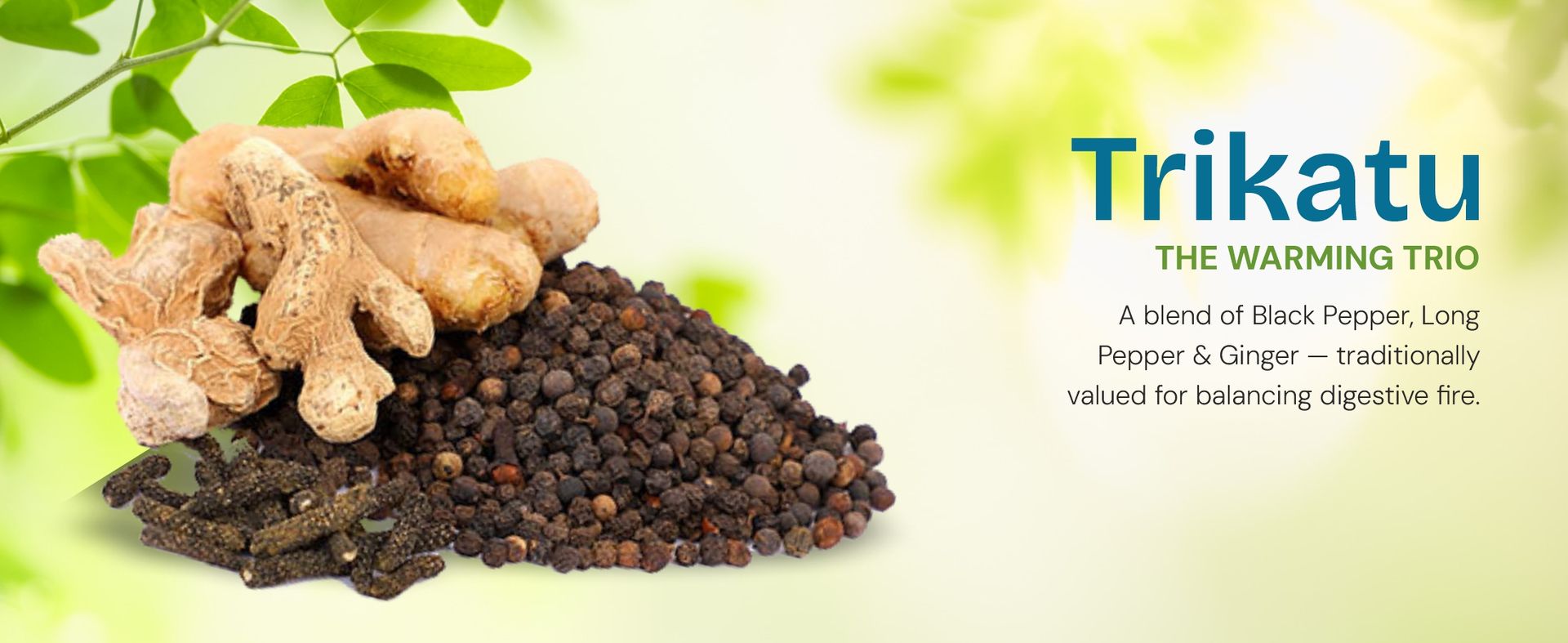 Bliss Welness Gut Detox | Trikatu, Isabgol, Triphala, Avipattikar, Kalajeera | Supports Digestion, Metabolism, Toxin Removal, Acidity & Gas Control for a Healthy Gut Cleanse – 60 Veg Tablets