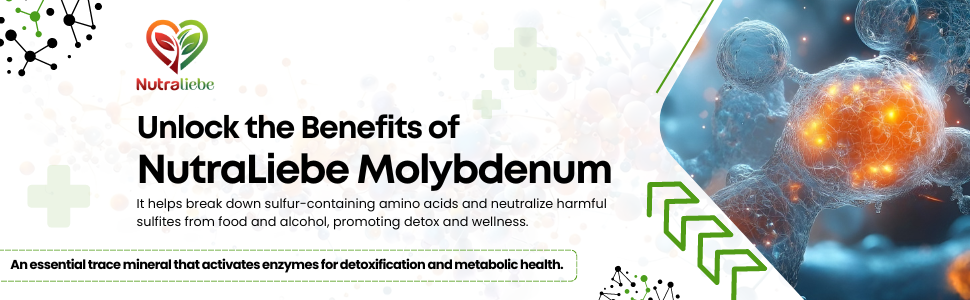 Molybdenum - Sodium Molybdate 100mcg, Supports Enzyme Function and Detoxification, 90 Capsules
