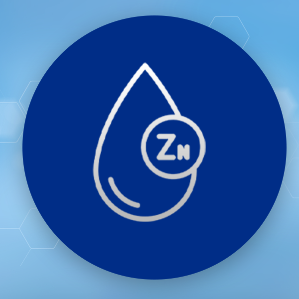 Premium Ionic Zinc, 50ml - High Dose, Rapid Absorption for Optimal Health