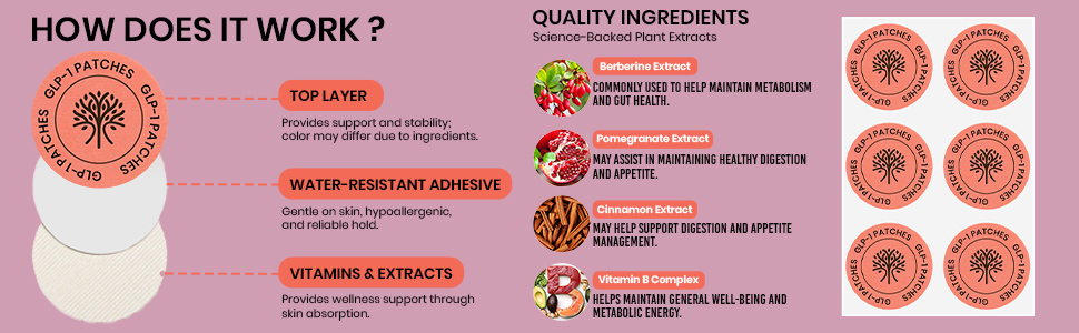 GLP-1 Wellness Patches with Berberine & Cinnamon Extract | Daily Skin Patch for Appetite & Metabolism Balance | 30 Patches