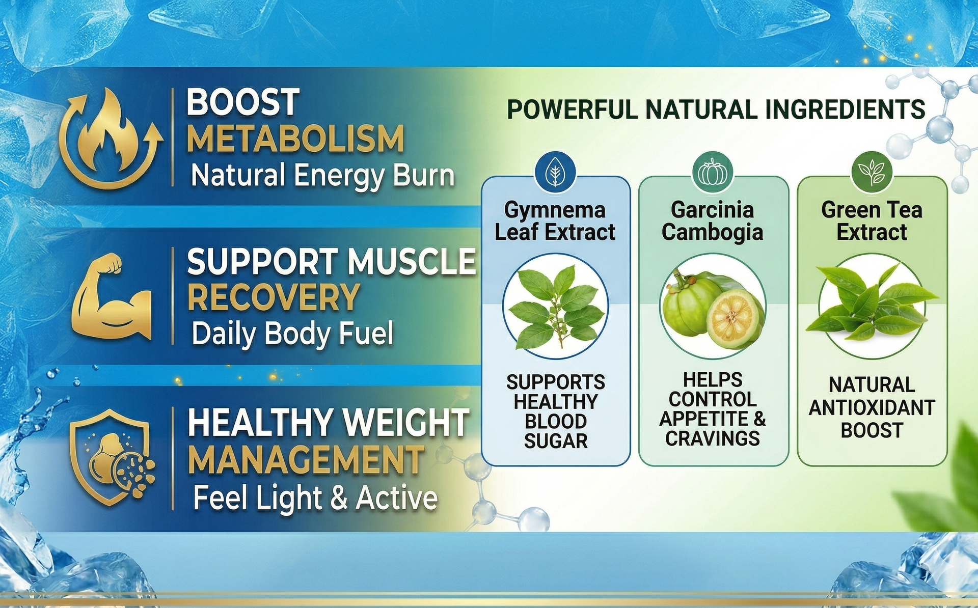 Fat Burner & Weight Management Tablets for Men & Women | Energy Booster & Metabolism Support | Gymnema, Garcinia Cambogia & Green Tea Extract | Supports Muscle Recovery | 60 Tablets