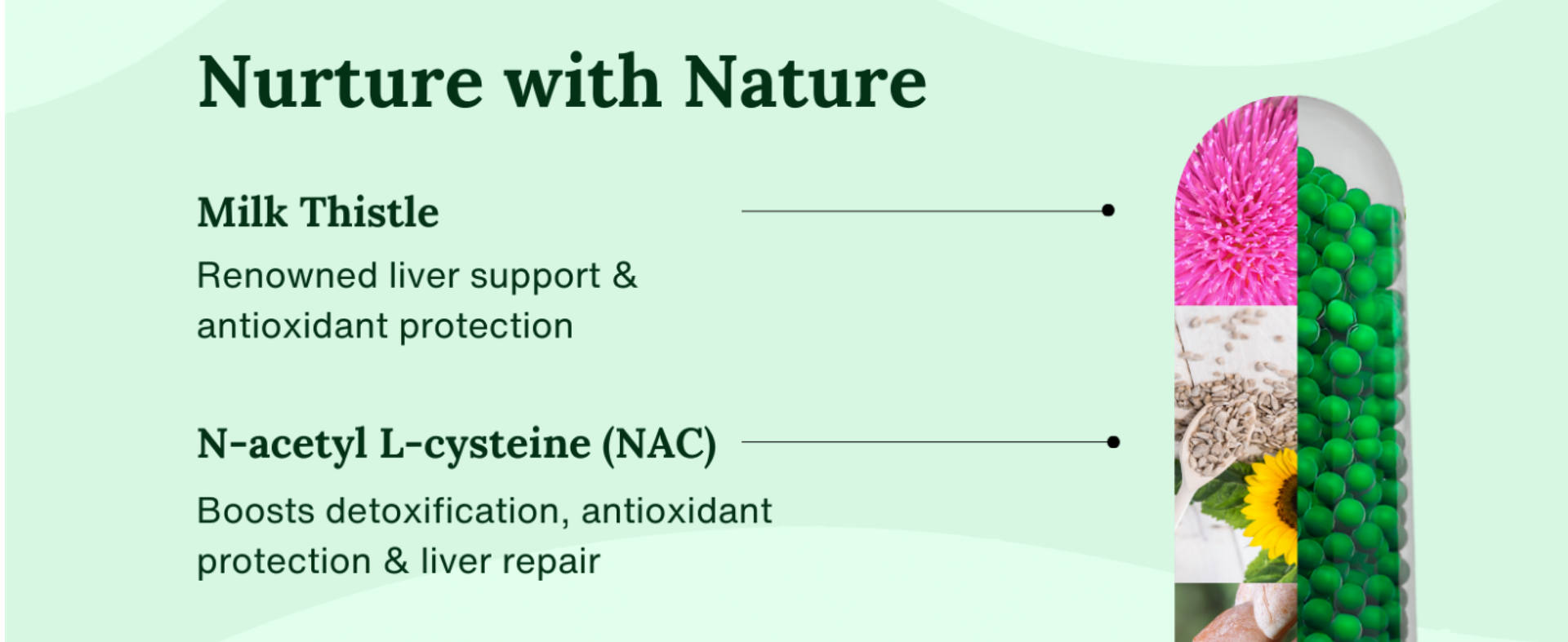 WishNew Wellness Liver Care Supplement - Detox & Support with NAC, Milk Thistle, Picrorhiza, Curmate™ 95, Vitamins E & D2, 60 Caps | Fit Health Fatty Liver Care | Suitable for Men & Women