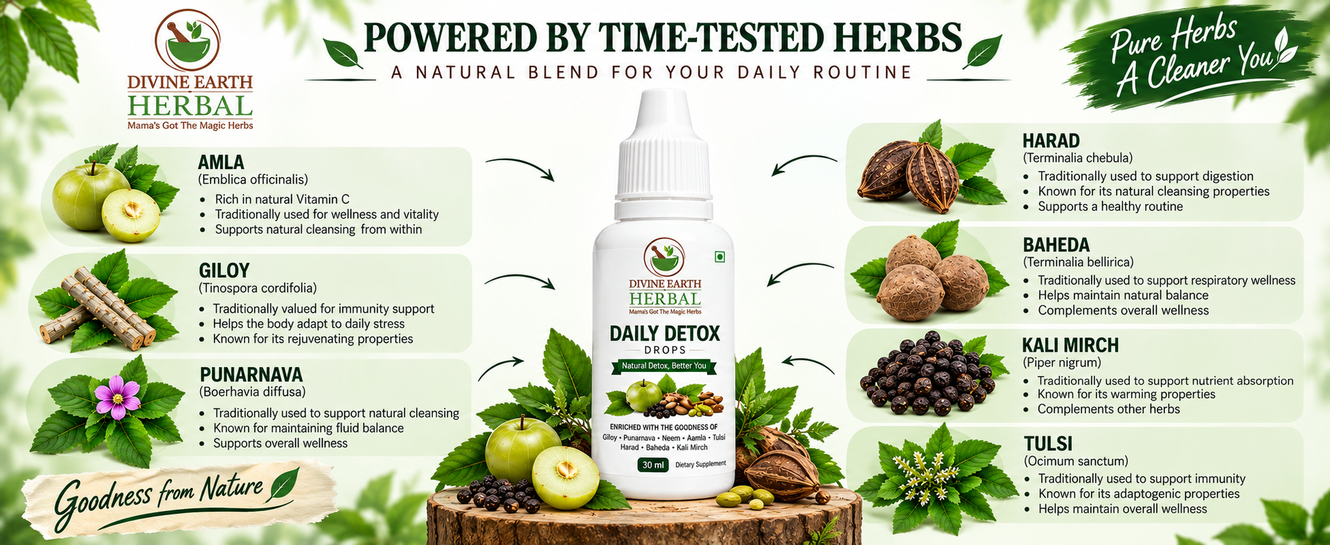 Divine Earth Daily Detox Herbal Drops 30ml | Giloy, Neem, Amla, Tulsi & Punarnava | Herbal Blend for Daily Wellness