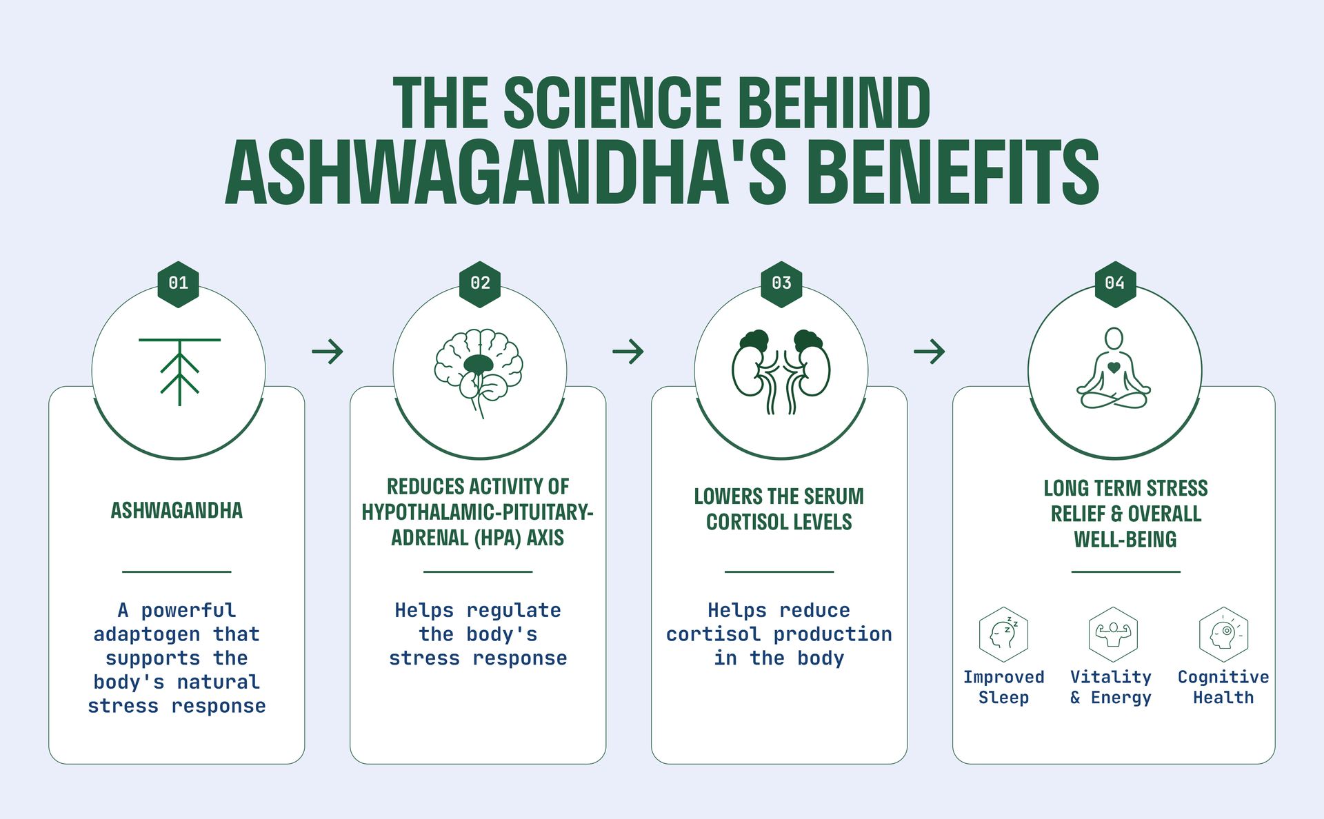 Nature & Thought Right Dose Ashwagandha | Upto 12hr Extended Release ASHWANOVA™ |All Day Stress, Anxiety & Sleep Support | Clinically validated | 1-A-DAY | 30 Veg Capsules for Men & Women