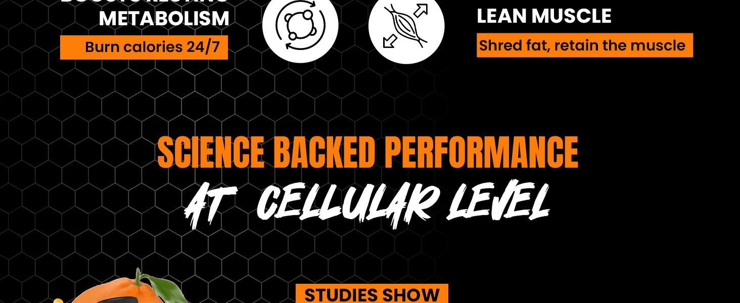 BeastLife L-Carnitine Liquid | 1100mg (Orange Flavour, 450 ml, 30 Servings) Converts Fat to Energy | Supports Weight Loss & Fat Burn | With Vitamin B5 | No Added Sugar