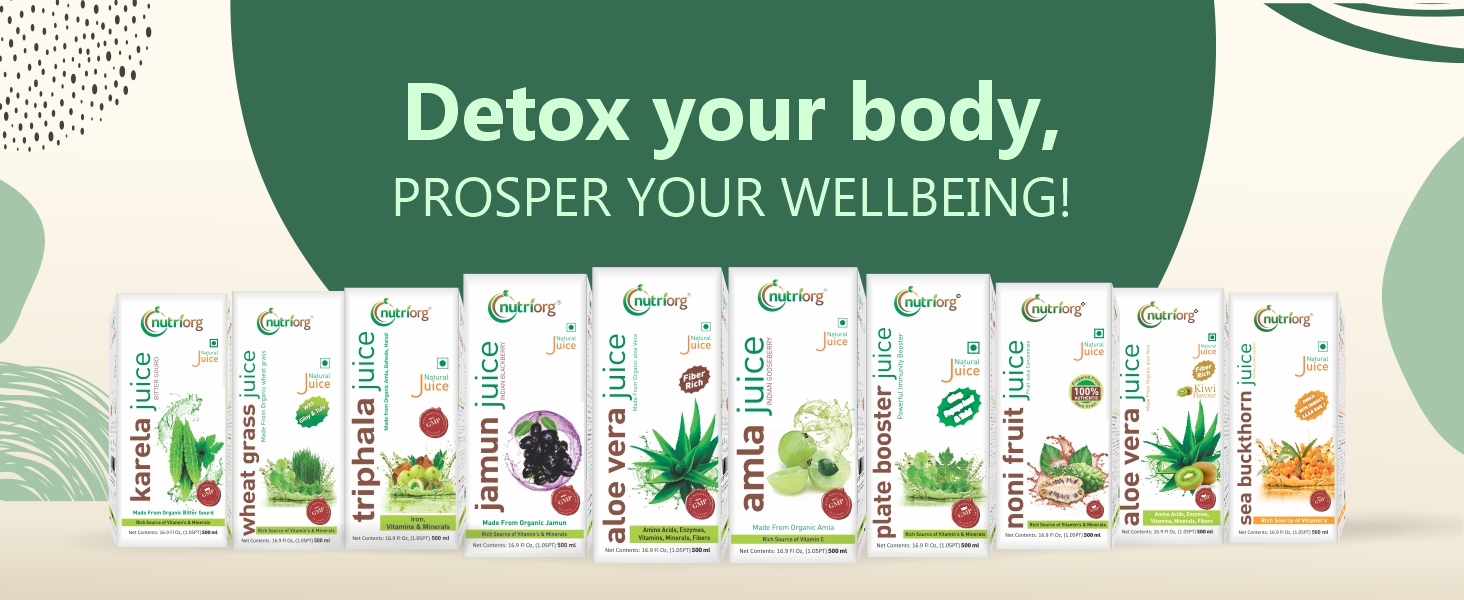 Nutriorg Amla & Aloe Vera Juice - 1000 ml (Pack of 2-500 each) | Organically Grown| Immunity Booster | Detoxification