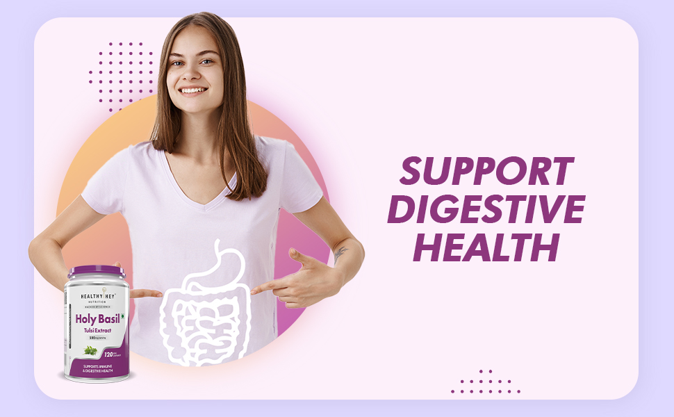 HealthyHey Tulsi Extract (Holy Basil Extract) - Supports Stress and Immune System - 120 Vegetarian Caps (Pack of 1)